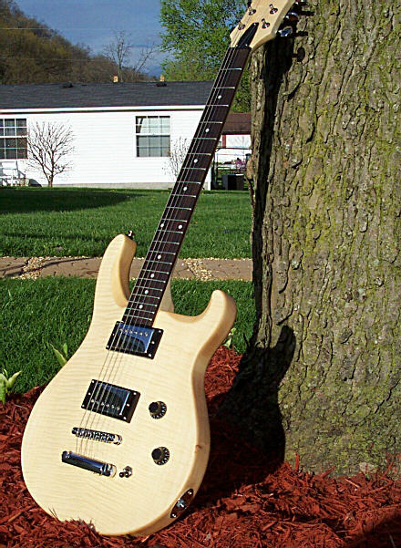 [http://imagehost.vendio.com/preview/eb/ebayguitars/prssun1xx.jpg]