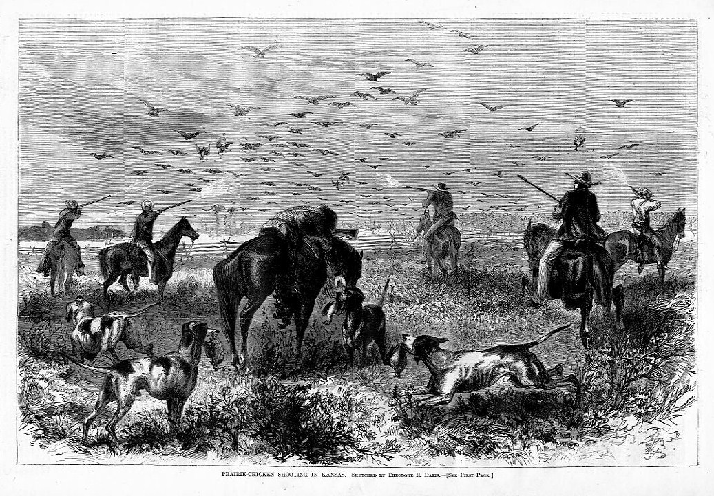HUNTING PRAIRIECHICKEN IN KANSAS, DOGS, POINTERS, HUNT eBay