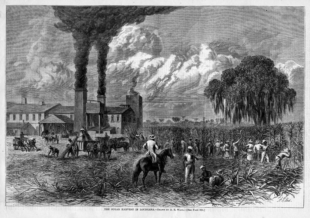 SUGAR LOUISIANA SUGAR CANE HARVEST NEGRO HORSE CART HARPER'S WEEKLY eBay