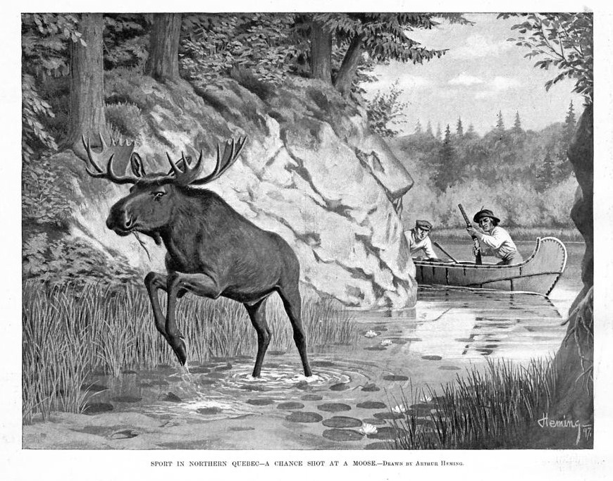 MOOSE HUNTING BY CANOE IN QUEBEC, ANTIQUE MOOSE HUNT eBay