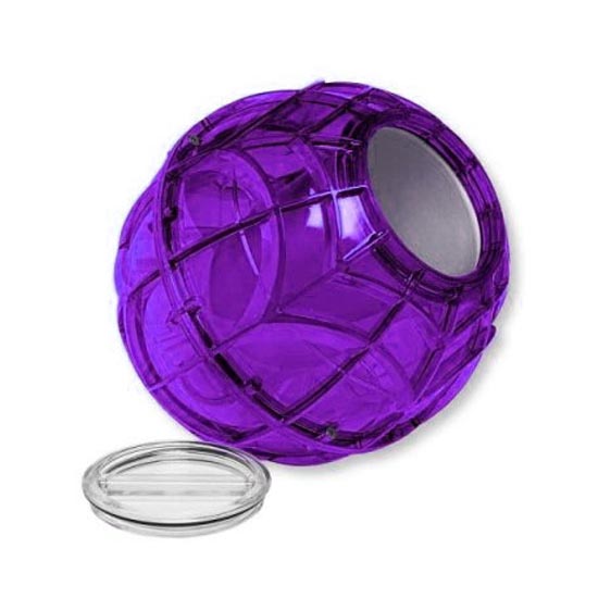 PURPLE PINT