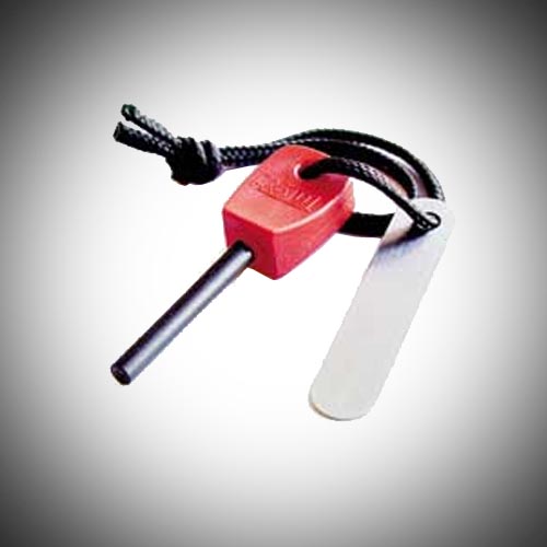 SCOUT