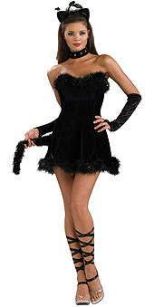 Kissable Kitty Costume Sexy halloween costume cat costume M