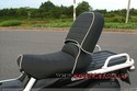 HONDA PS250 PS-250 BIG RUCKUS  BACK REST SEATS EXC