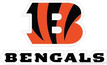 CINCINNATI BENGALS 12