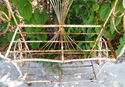 Primitive Antique Wrought Iron Bakers Rack Plant S