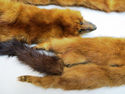 Gorgeous Vintage 1950's Four 4 link Pelts Genuine 