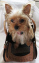 Stunning Pet Traveling Dog/Cat Carrier Stylish Fau