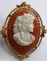 Gorgeous English Vintage Cameo  Brooch Costume Jew