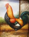 Gorgeous Rooster Art Painting Oil/Canvas Ornate Fr