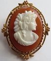 Gorgeous English Vintage Cameo  Brooch Costume Jew