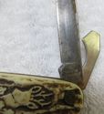 Vintage German StagHorn Folding Pocket Knife Hunti