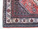 Exquisite Antique Area Rug Carpet Vintage Persian 