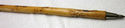 Vintage Natural Bend Wood Hiking Walking Stick Can