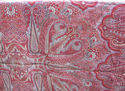 EX Large Kashmir Paisley Shawl Antique Part DutchT