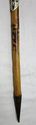 Vintage Natural Bend Wood Hiking Walking Stick Can