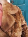 l REAL Vintage Genuine Fur Coat Jacket Rabit Mink 