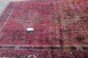 Antique Persian Knotted Wool Area Rug Thick Pile O