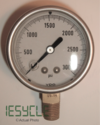 NEW Pressure Gauge 1765-379-018 0-3000 PSI 2.5 in.