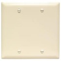 2-Gang Light Almond Blank Midsize Wall Plate