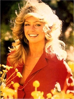 Farrah Fawcett Magazine The Angels Kate Jaclyn 1977 + Centerfold Pinup ...