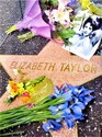 Elizabeth Taylor Magazine Collector's Tribute 2011