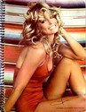Farrah Fawcett Swimsuit Notebook Pro Arts 1977 Unu
