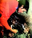 Michael Jackson In Concert Tour Program 1984 Minty