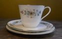  Royal Doulton Pastorale Tea Cup Saucer and tea / 