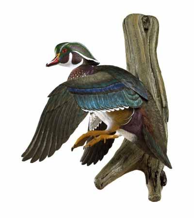 Loon Lake FLYING WOOD DUCK Wall Mount Decoy-NC SHIP | eBay