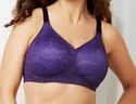 40DDD BRA - PLUS SIZE PURPLE LACE SERENADA BACK SM