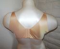 38D BRA - PLUS SIZE ALMOND (NUDE) SERENADA BACK-SM