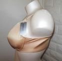 46C BRA - PLUS SIZE ALMOND NUDE SERENADA BACK-SMOO