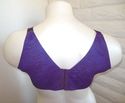 48DD BRA - PLUS SIZE PURPLE LACE SERENADA BACK SMO