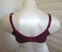 44C BRA - WINE SERENADA LACE TRIM COTTON KNIT WIRE