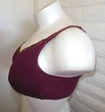 44C BRA - WINE SERENADA LACE TRIM COTTON KNIT WIRE