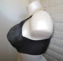 48D BRA - PLUS SIZE BLACK & WHITE SERENADA BACK SM