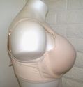 38DDD BRA - TOASTED ALMOND SERENADA PLUNGE SEAMLES