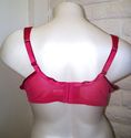 40DD BRA  --  PLUS SIZE DARK PINK SERENADA SEAMLES