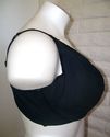 50D BRA - BLACK SERENADA UNDERWIRE SEAMLESS COTTON