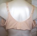 50C BRA - TOASTED ALMOND SERENADA UNDERWIRE TEE SH