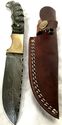 Damascus Steel Fixed Blade Knife Micarta Handles B