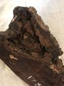 Exotic Wood Honduran Rosewood Burl 16x7x2 Resin Ca