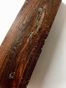 Real Lignum Vitae Wood 2x8 Guaiacum officinale Tur