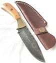 Damascus Steel Fixed Blade Knife Teak Wood Handle 