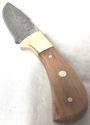 Damascus Stahl Feste Klinge Messer Teak Holzgriff 