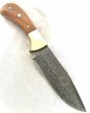 Damascus Steel Fixed Blade Knife Teak Wood Handle 