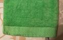 PAIR VINTAGE TERRY CLOTH BRIGHT GREEN GUEST HAND T