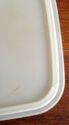 VINTAGE TUPPERWARE CELERY VEGETABLE KEEPER CRISPER