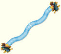To add this item in your Shopping Cart drag and drop this picture there